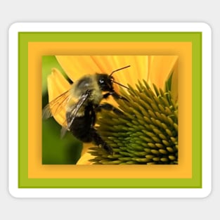 Bumble Bee on Yellow Flower Sticker